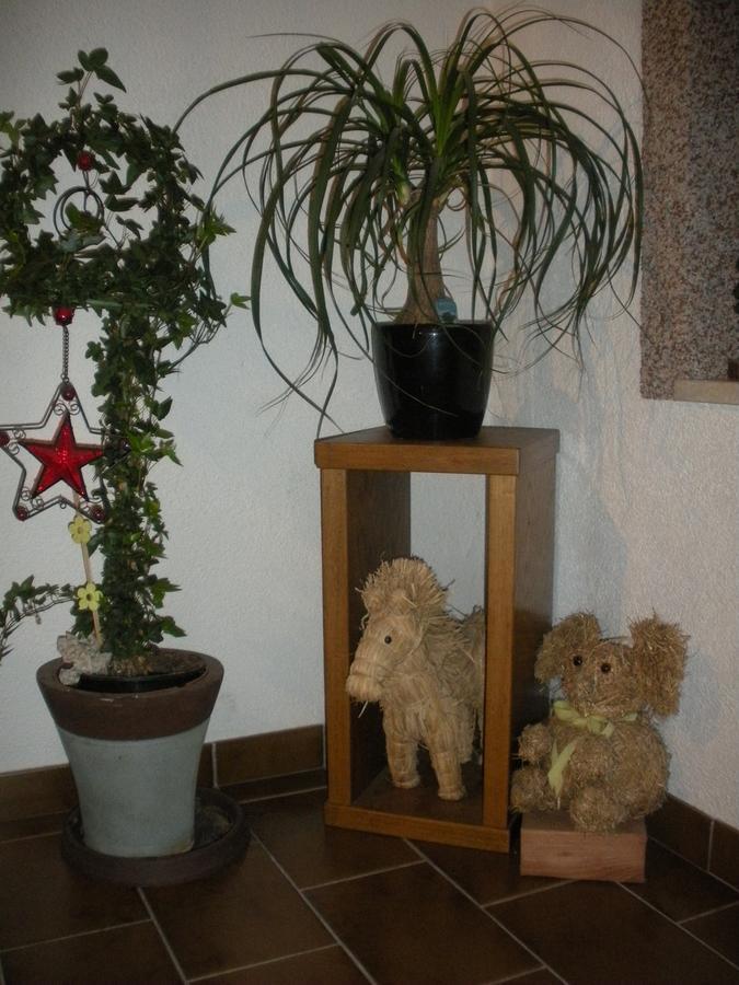 Haus Margit Apartment Kossen Bagian luar foto